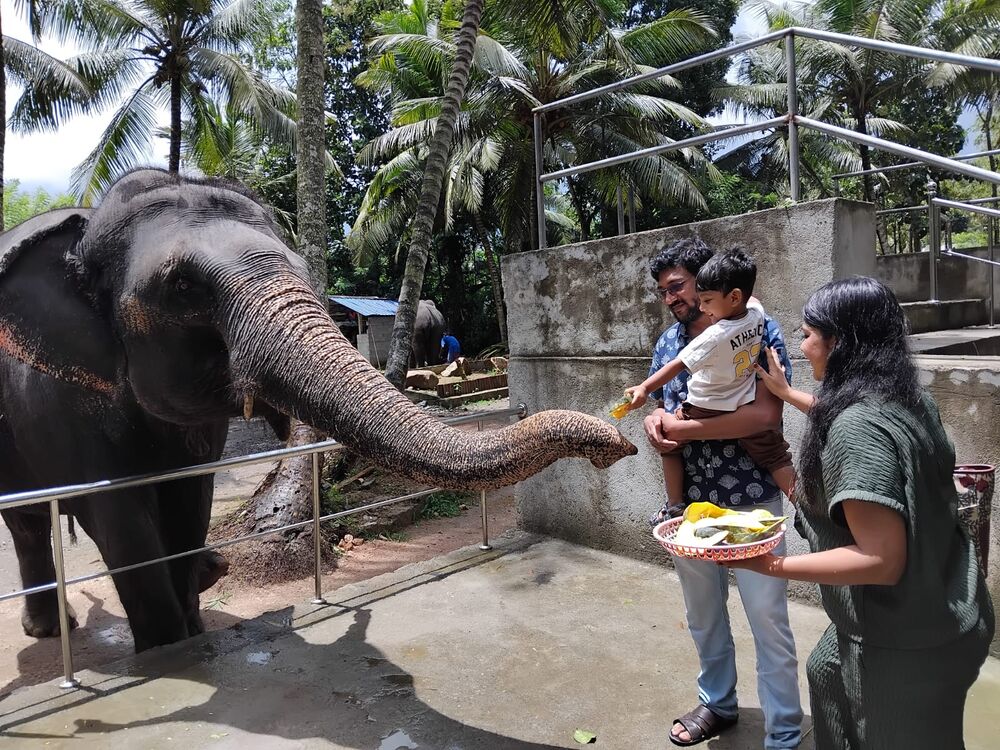A family feeding an elephant at a sanctuary